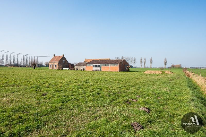 UNIEK gelegen hoeve op 7.290m² in Maldegem foto 10
