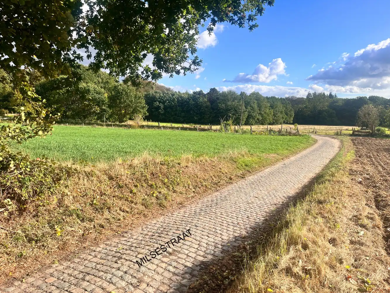 Laatste exclusieve bouwgrond " Berrekesstraat" , vlakbij Meerdaalwoud foto 5