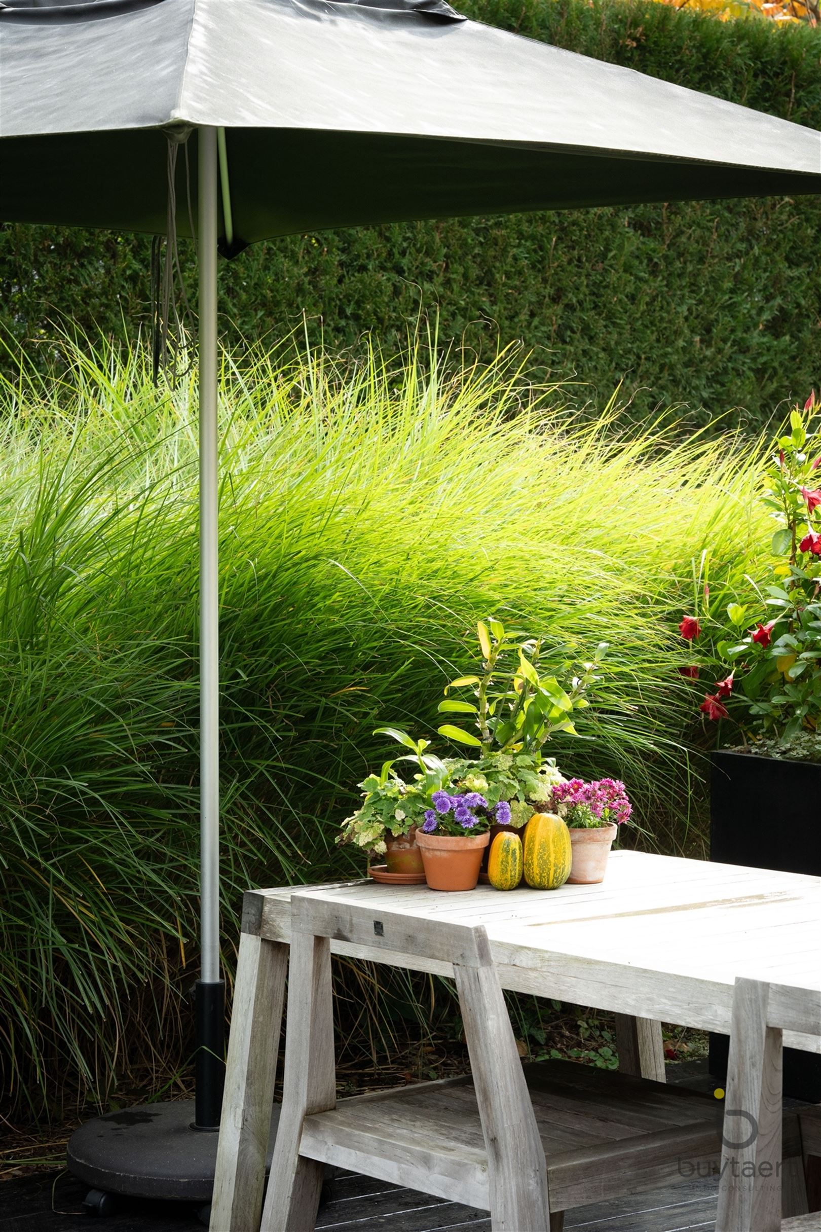 Gezellige instapklare woning met een prachtige groene tuin! foto 61