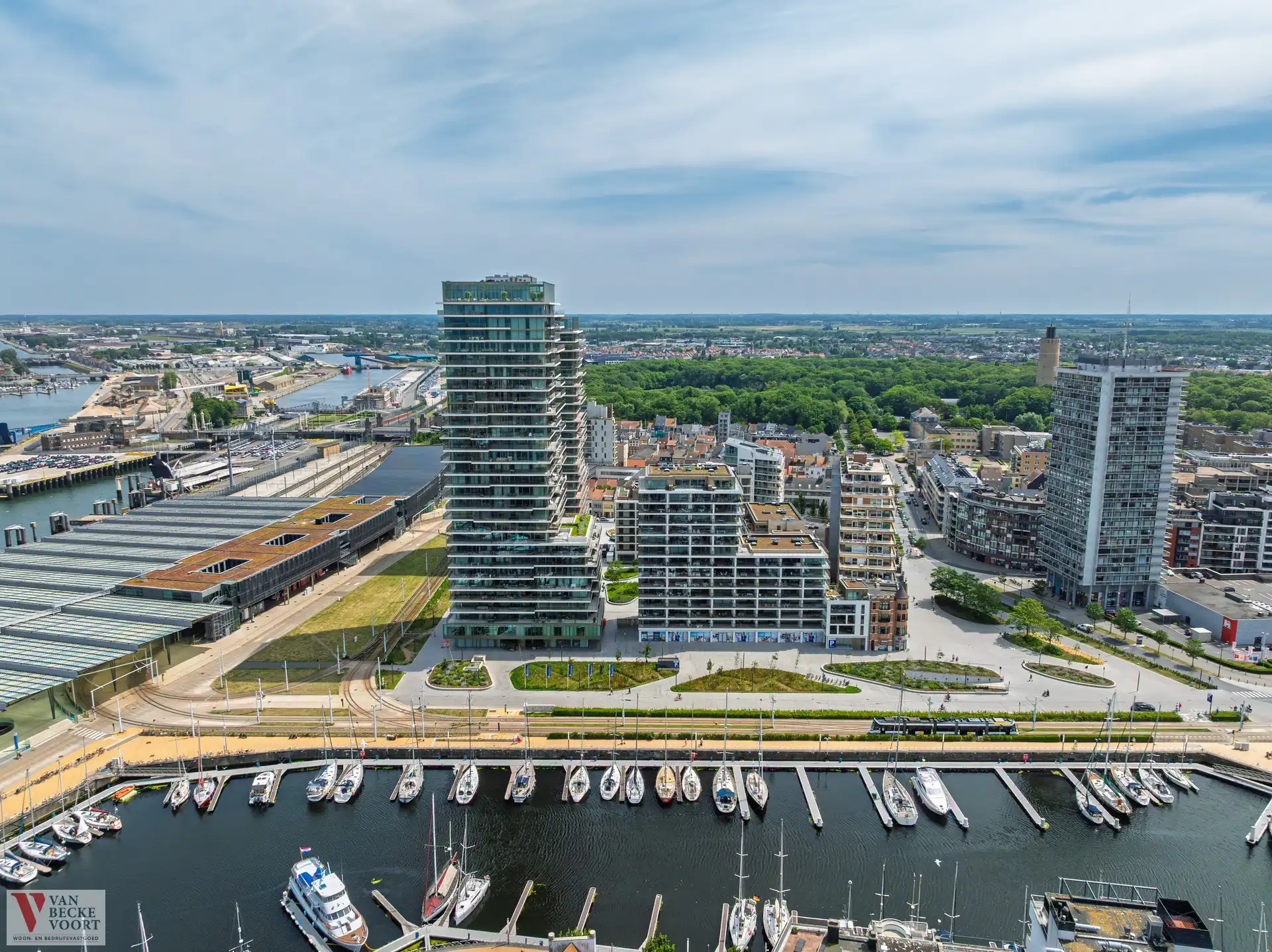 Sky Harbour 04 foto 6