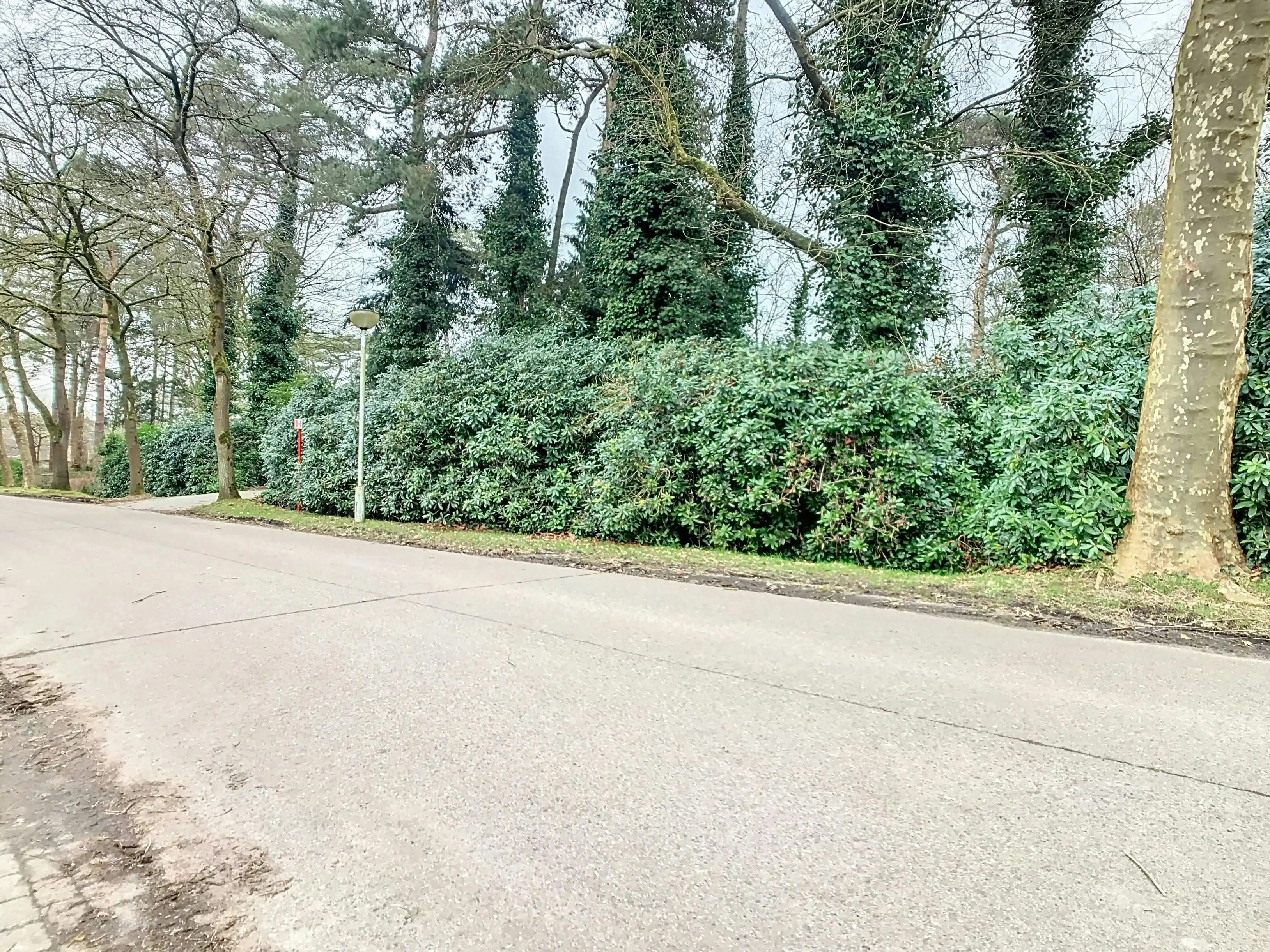 Zeer mooi gelegen bouwperceel van  ca.1750m² te Sint-Job-in't-Goor! foto 2