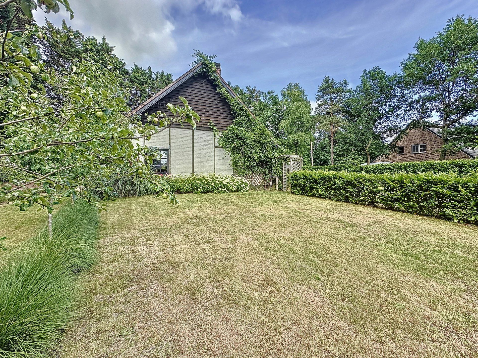 Volledig gerenoveerde villa in de Europese wijk. foto 46