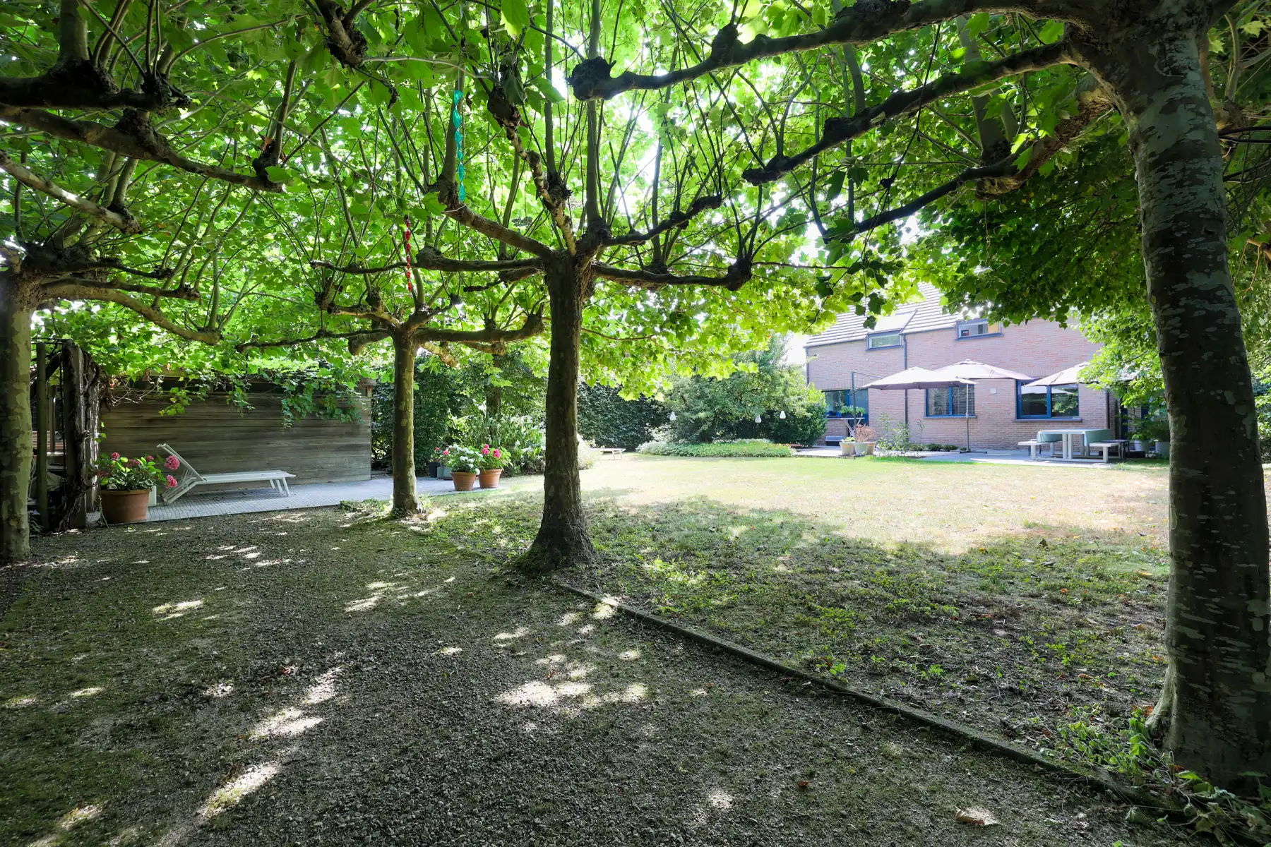 Een warme thuis, omringd door groen foto 25