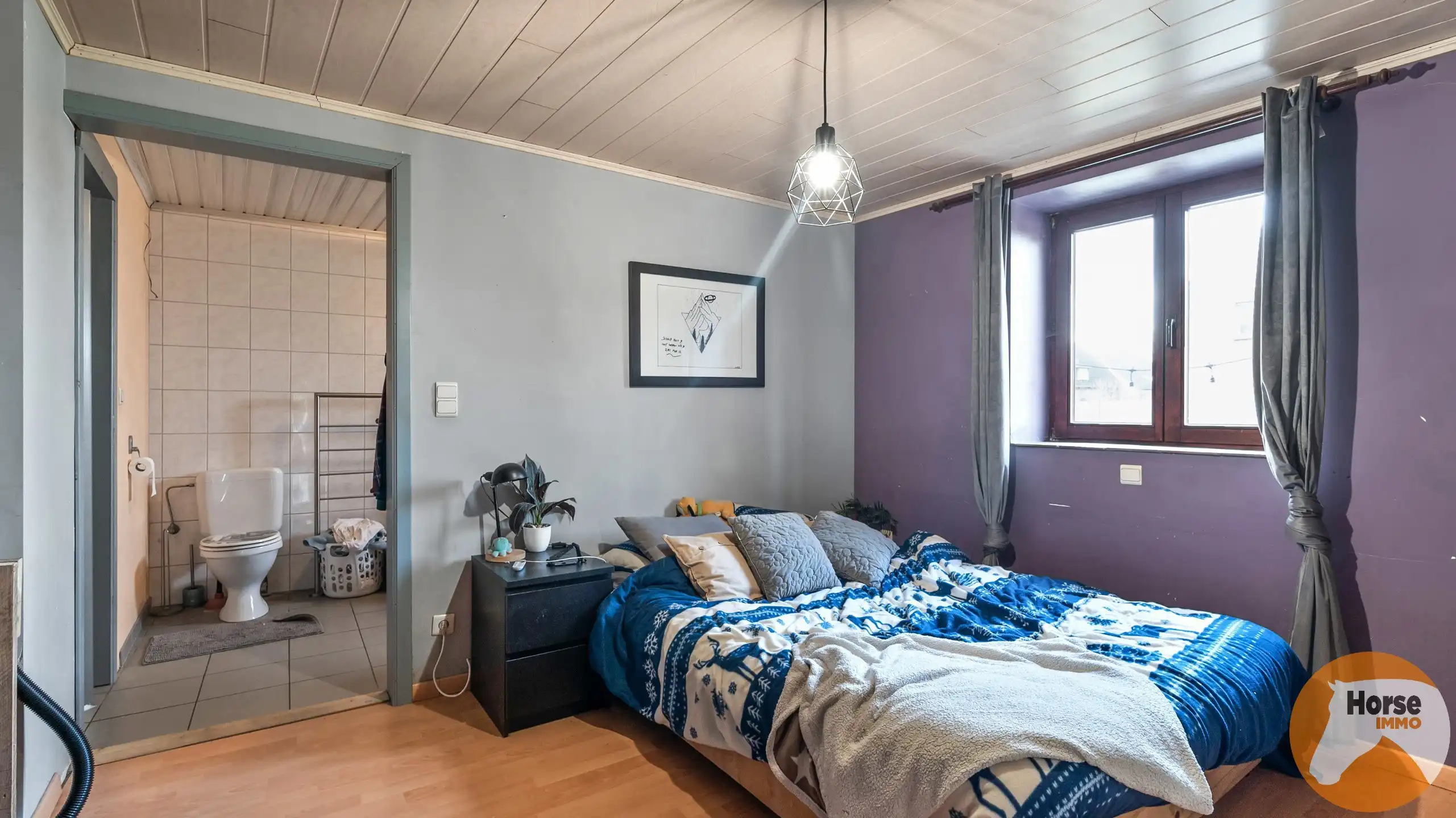 GERAARDSBERGEN - Hoeve met studio foto 28