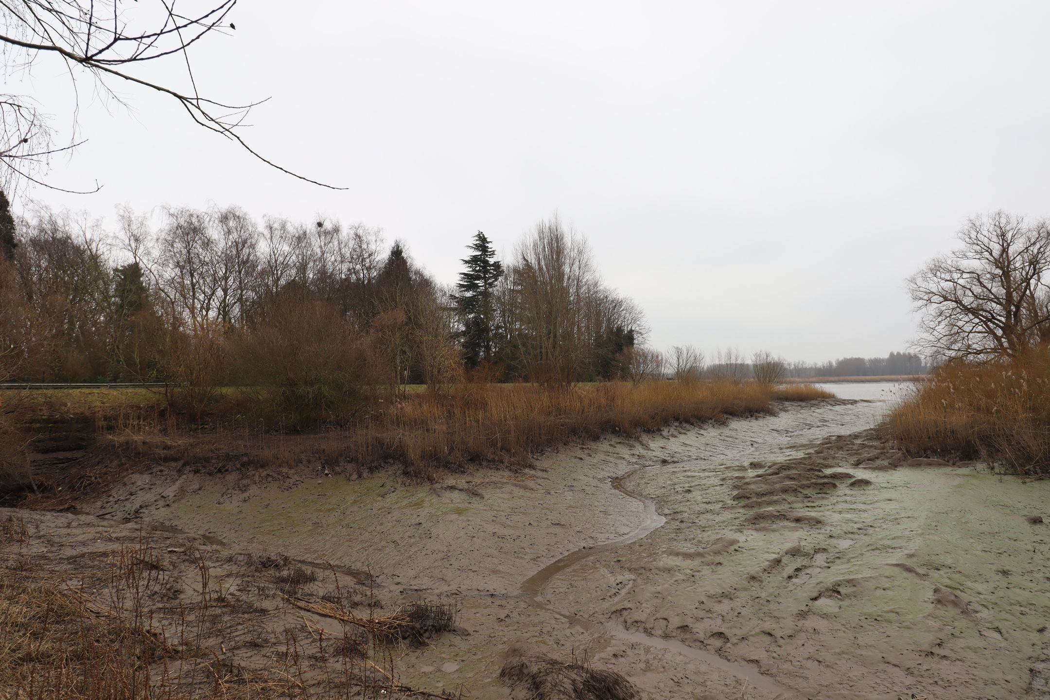 Unieke bouwgrond op toplocatie aan de Schelde foto 10