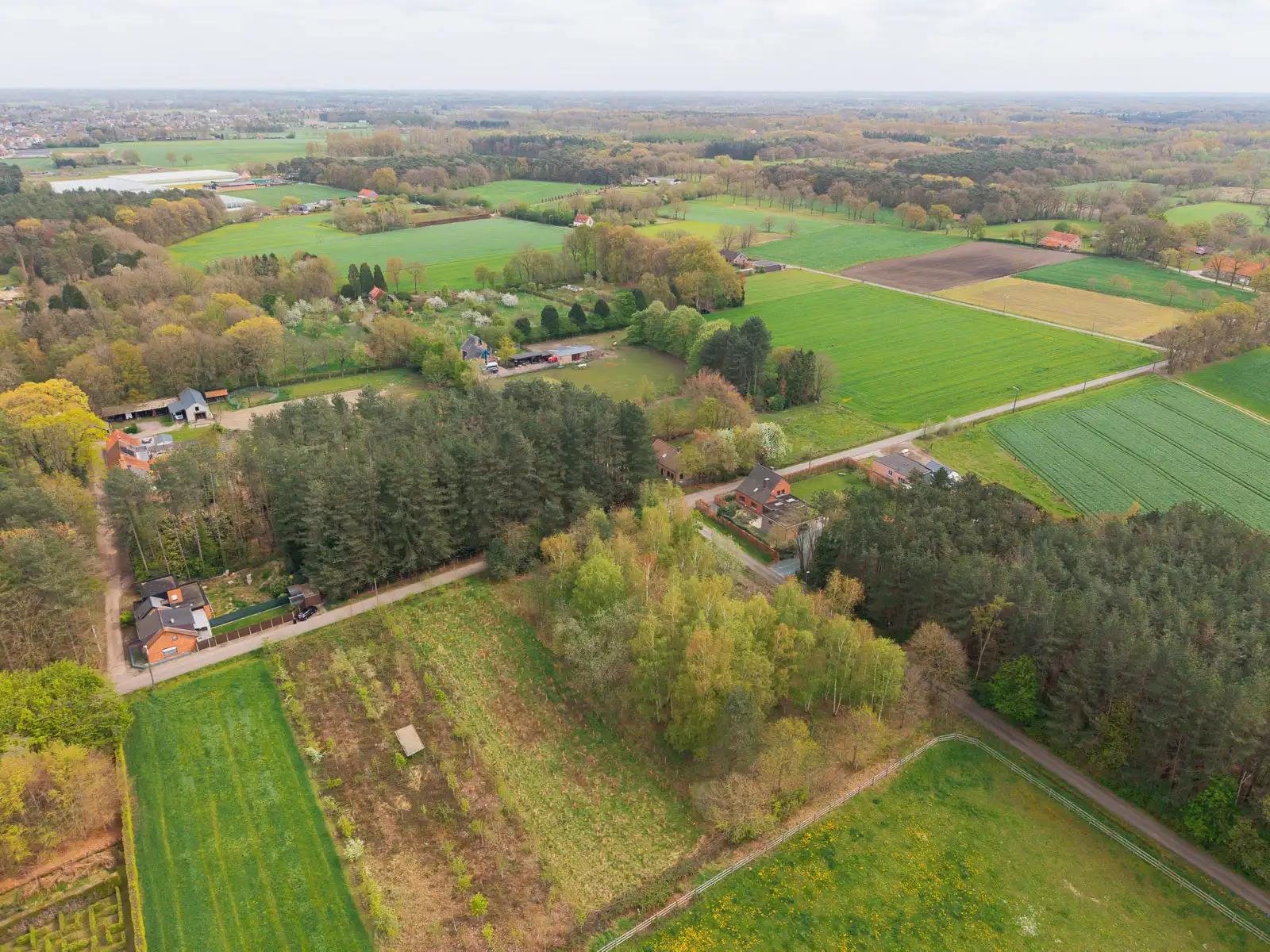 Prachtige landbouwgrond van 3826 m² gelegen in oase van rust foto 7