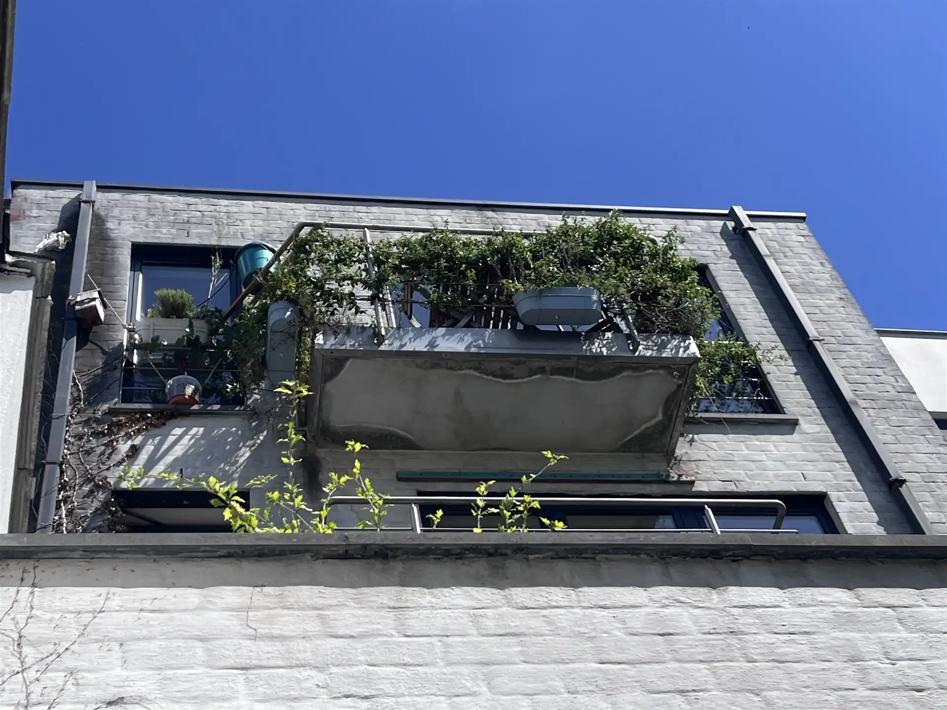 Opbrengsteigendom met polyvante gelijkvloers foto 8