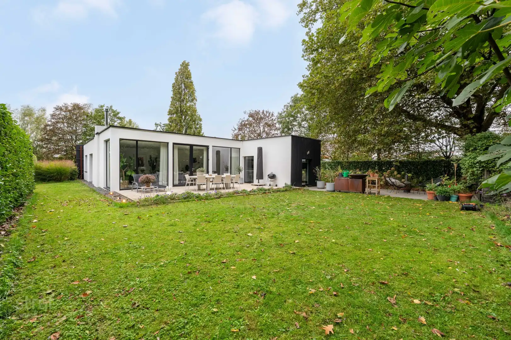 Gelijkvloerse woning met uniek, eindeloos zicht op het bos in Kruibeke foto 14