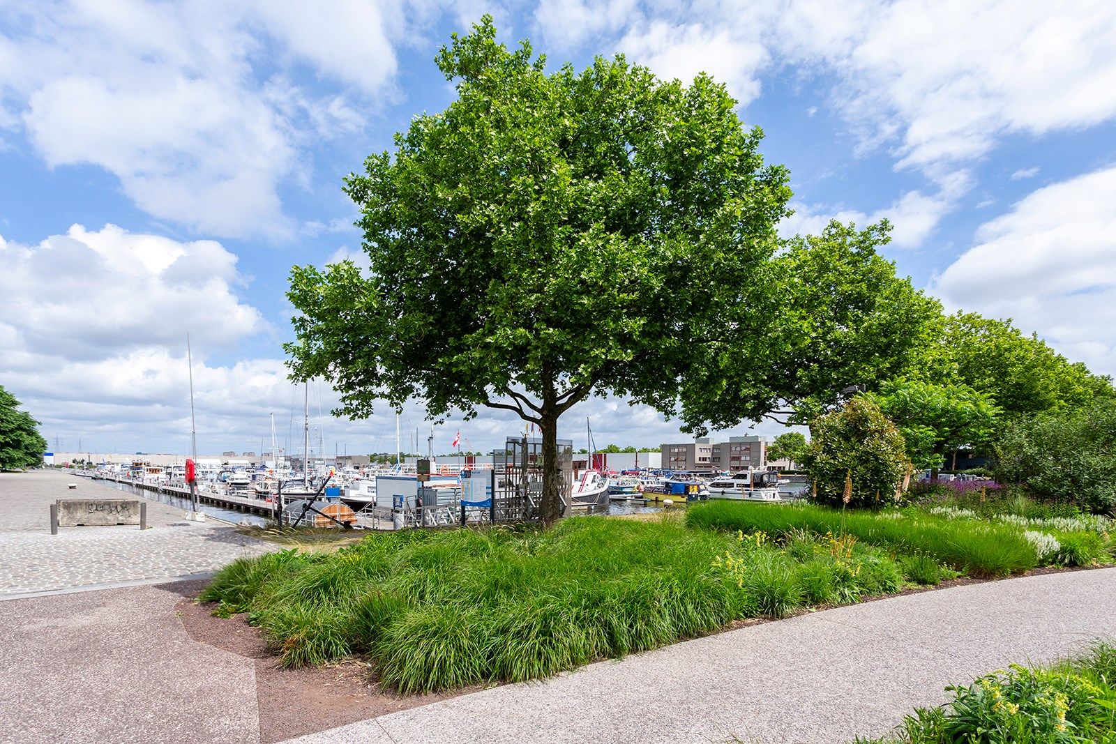 Stijlvol wonen in hartje Cadix met parkzicht foto 26