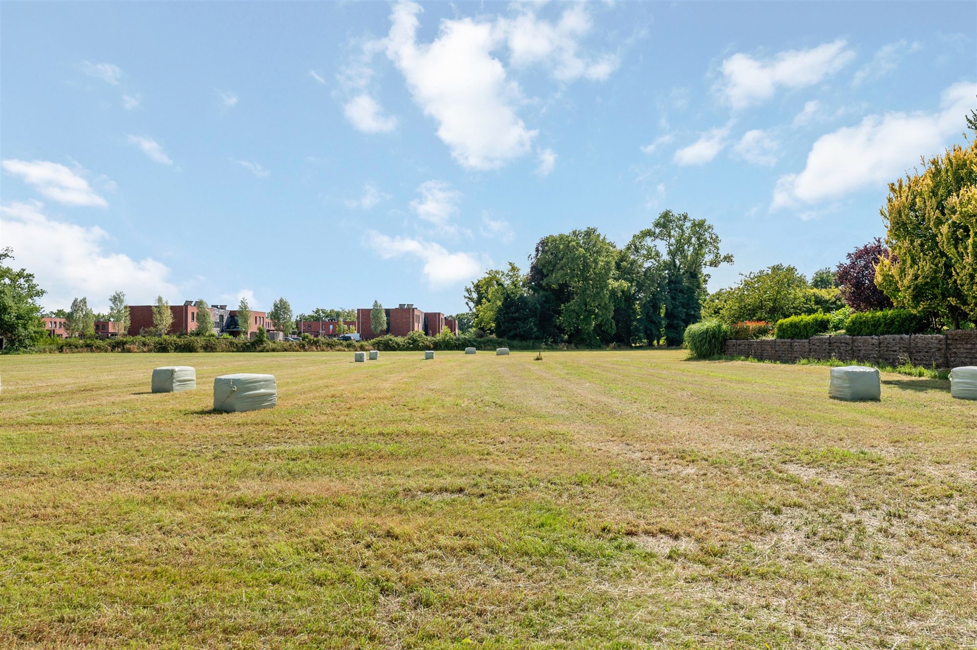 MOOIE BOUWGROND OB VAN 1059M² TE BALEN foto {{pictureIndex}}