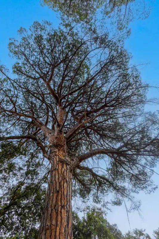 Petit-Château in de provence (Nyons) foto 25