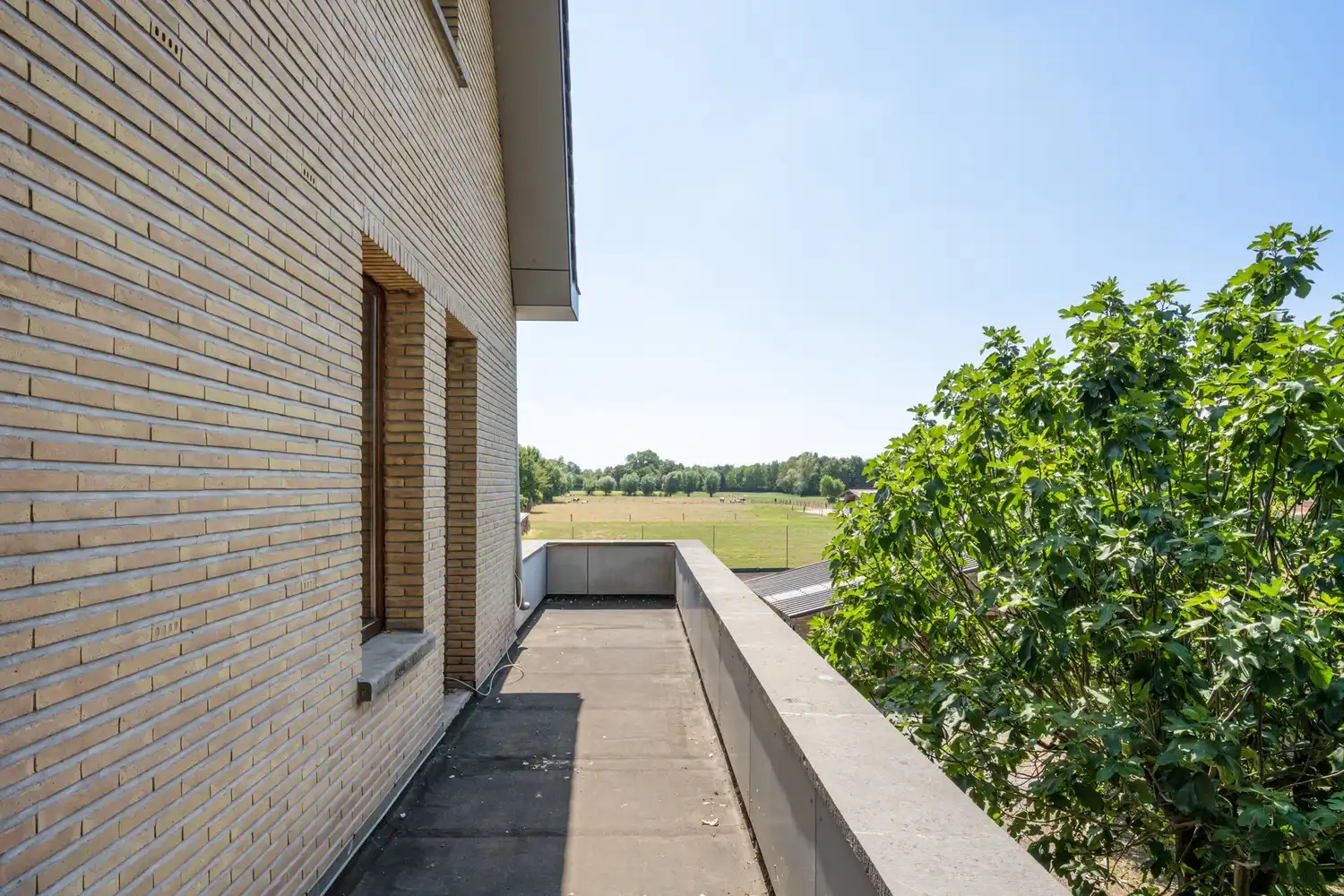 Karaktervolle villa op uitzonderlijk parkdomein van 67 are met ontwikkelingspotentieel vlakbij Gent foto 20