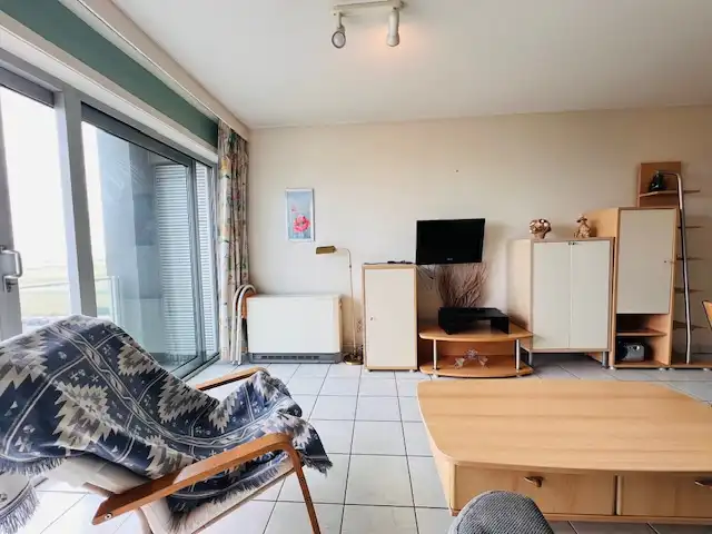 Appartement met 1 kamer en zijdelings zeezicht en duinenzicht foto 5