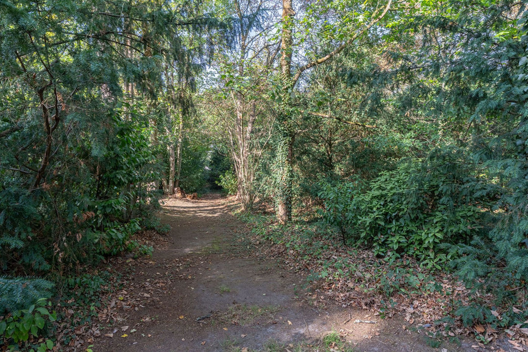 Bouwgrond / grondig te renoveren woning op 3.250m² grond. foto 13