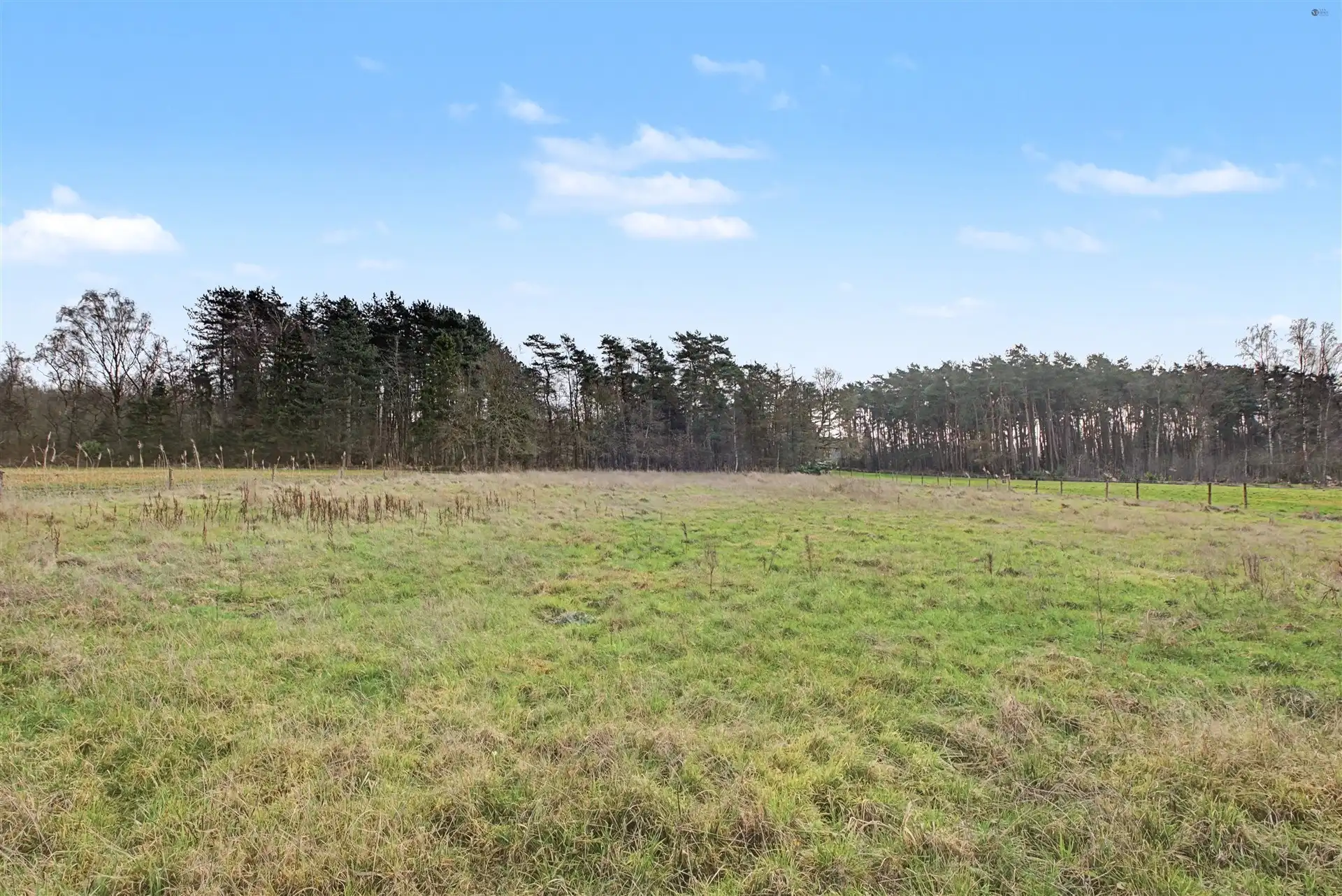 Goed bereikbare weide van 4220m² foto 4