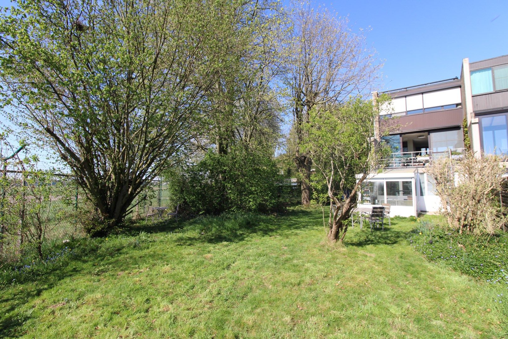 Ruime bel-étage woning met zeer grote tuin en garage in Antwerpen, 3 slaapkamers, bouwjaar 1975, 533m² perceeloppervlakte, zuidgerichte tuin en terras foto 4