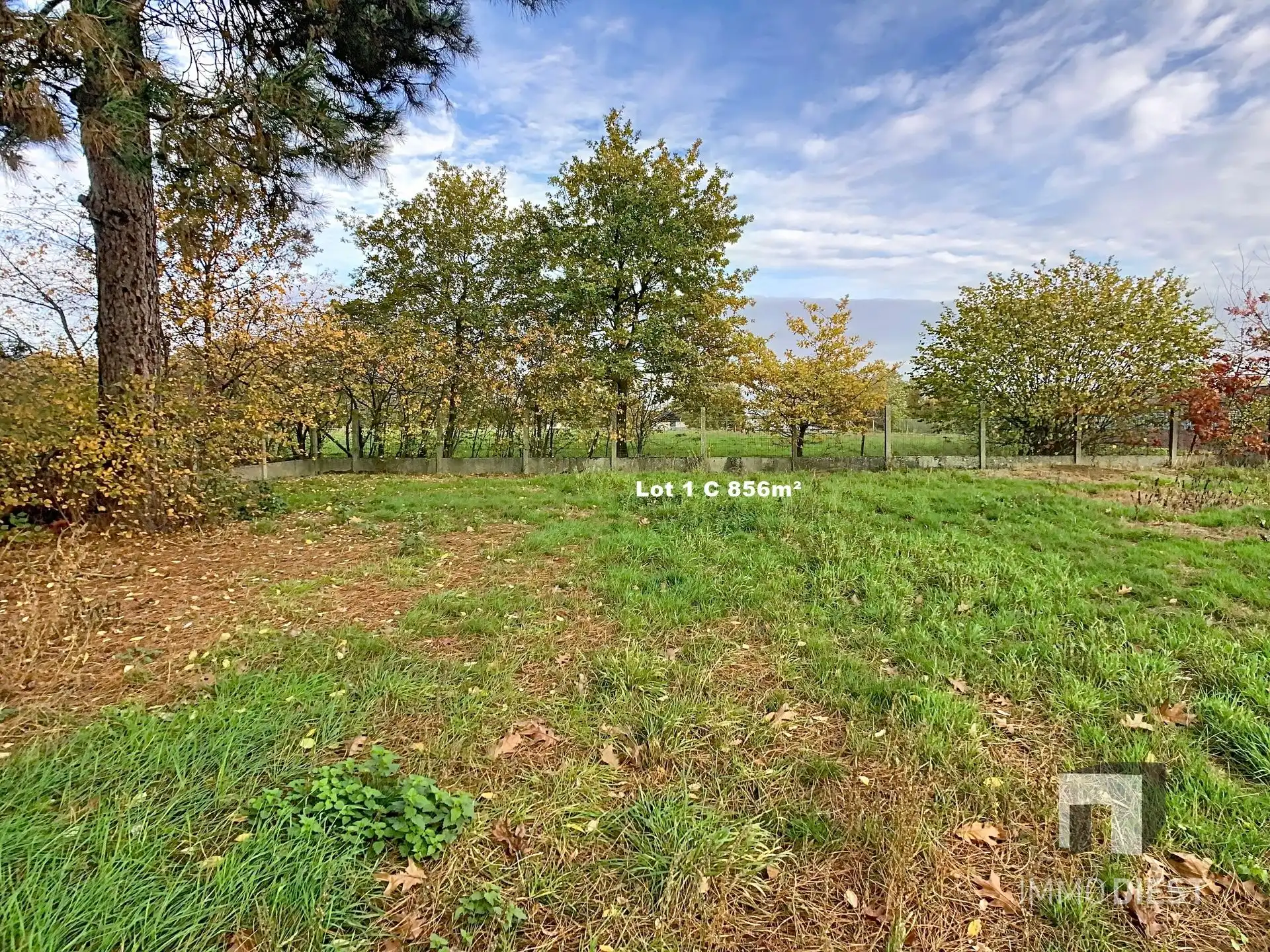 Landbouwgronden of weiden 6.067 m² foto 9