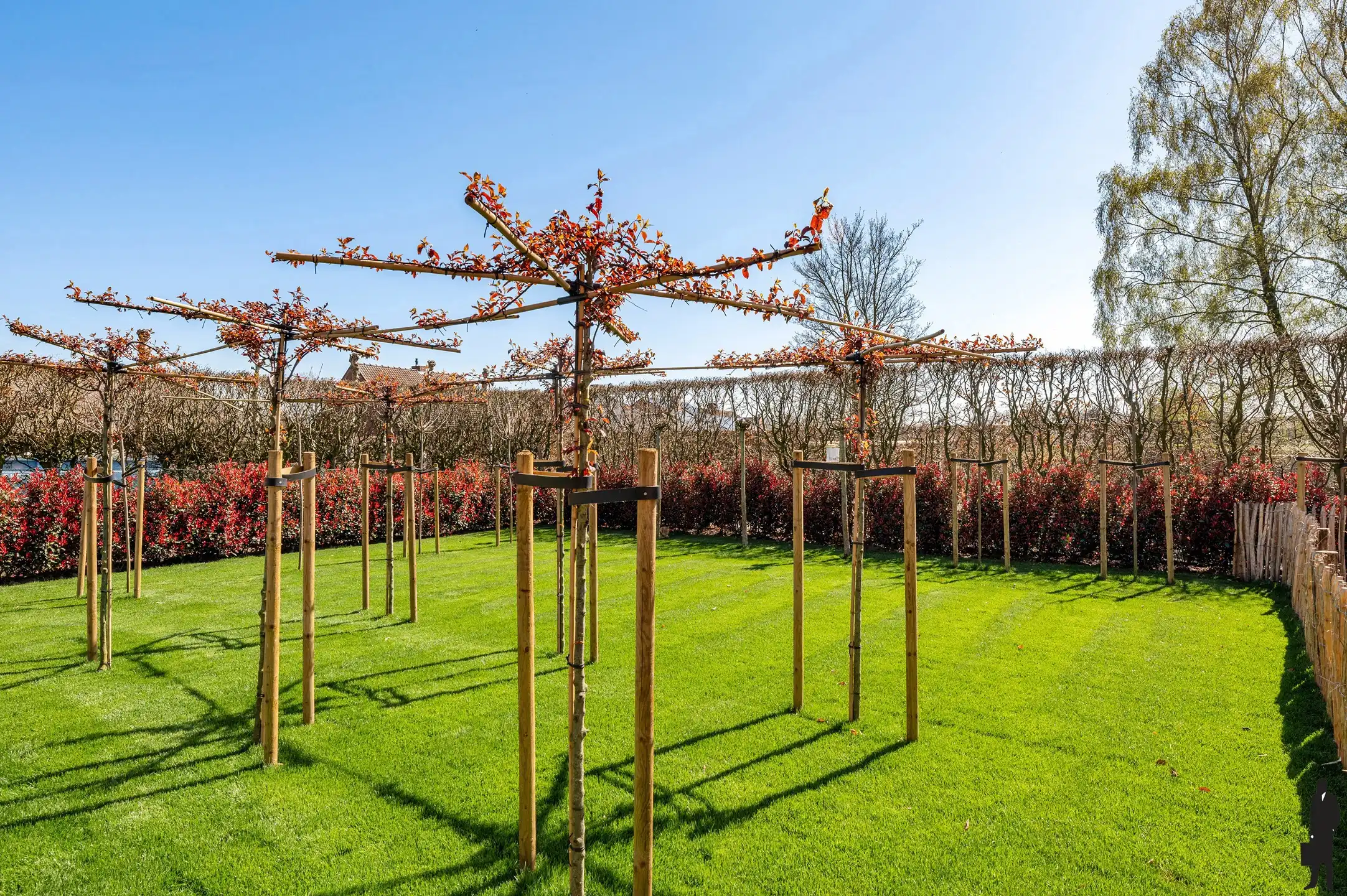 Charmante woning ideaal voor kangoeroewonen  foto 44