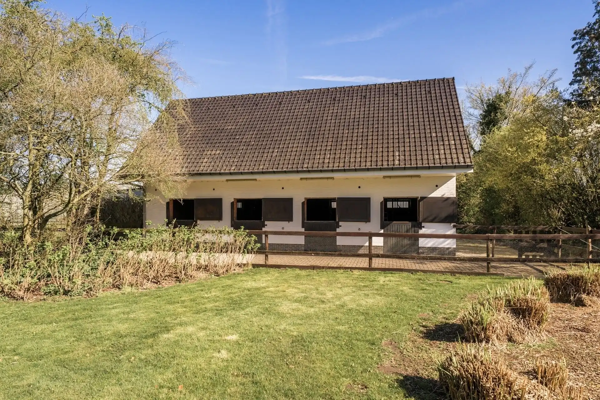 Exclusieve villa met paardenfaciliteiten  foto 4