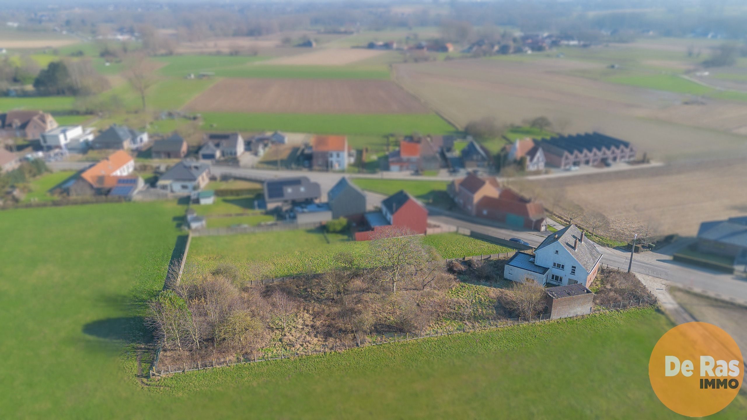 AAIGEM - Te renoveren woning met groot perceel  foto 2