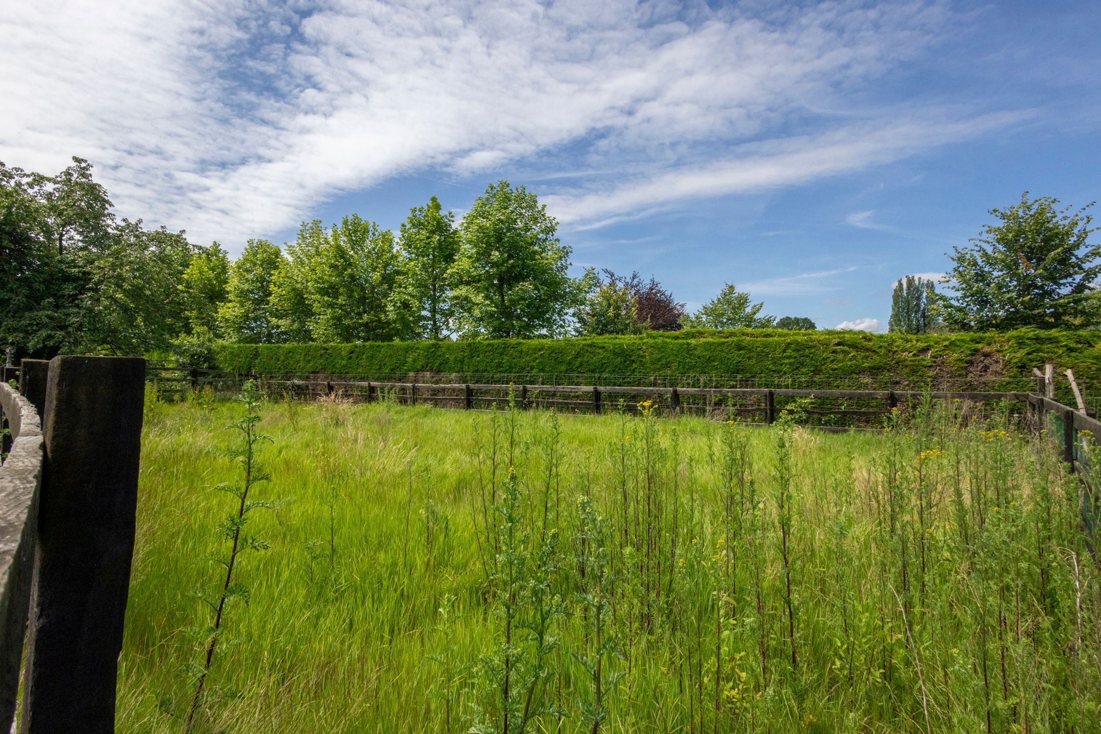 Woning met kantoor en opslagplaats in Humbeek foto 20