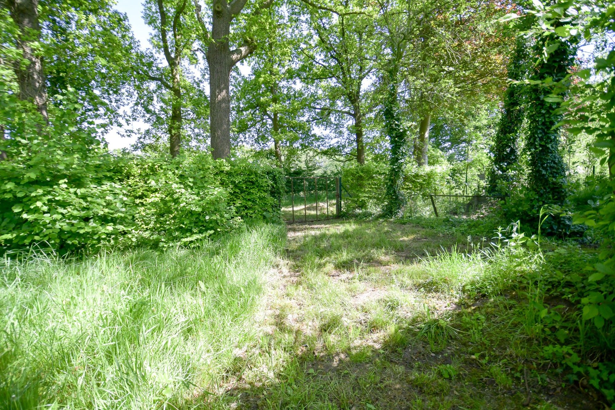 Woning en bijgebouw met prachtige idyllische tuin en uitweg op 2034 m² foto 5