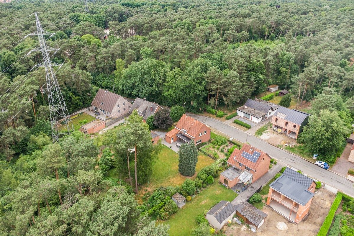 Rustig gelegen woning met oa 4 slpks op een mooi breed perceel van 21 are. foto 2