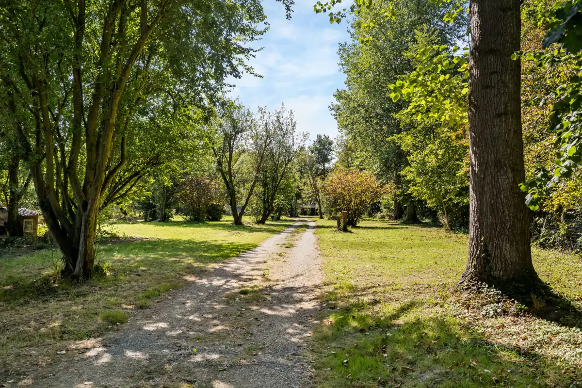 Exclusieve eigendom in “privaat park” te Asse foto 4
