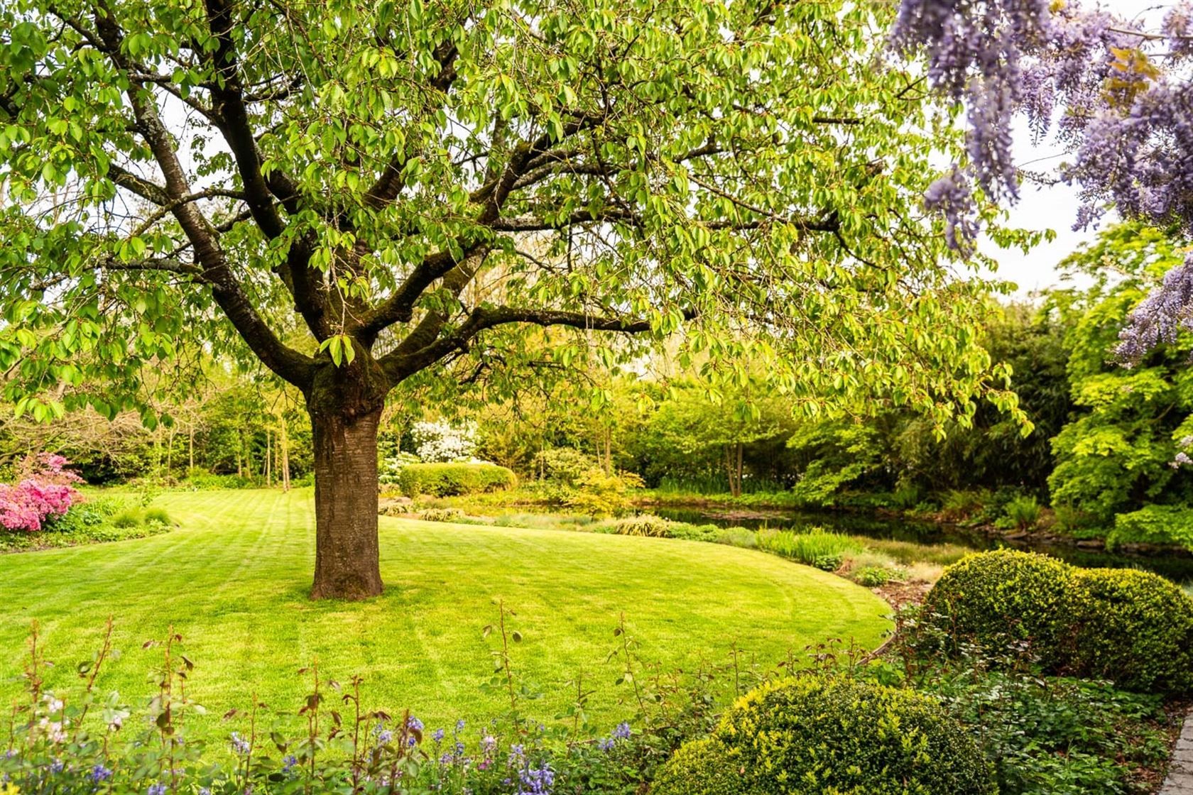 Romantische oase van groen in De Pinte foto 11