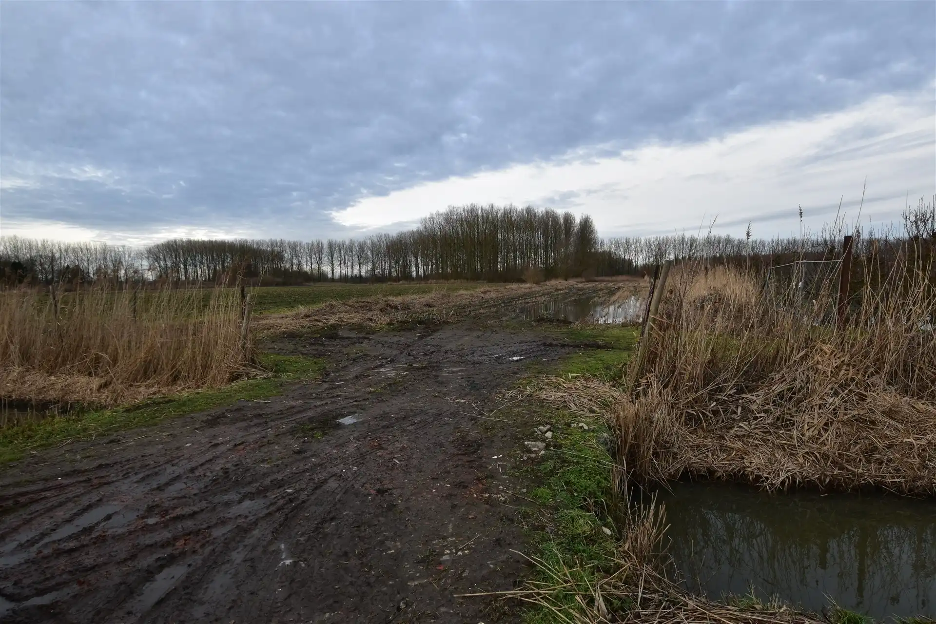 Landbouwgrond in Moerzeke foto {{pictureIndex}}