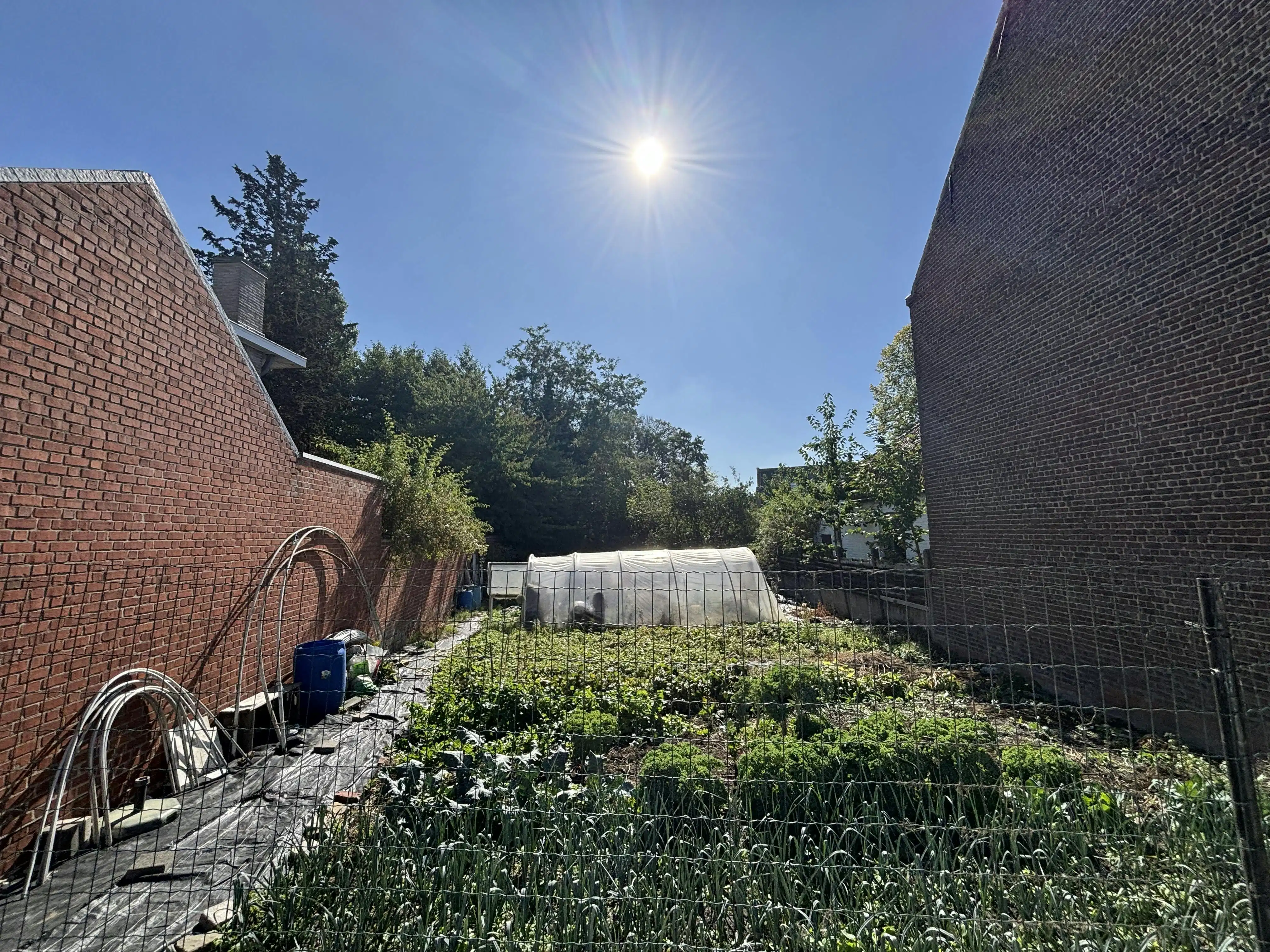 Bouwgrond zonder bouwverplichting in Meulebeke te koop! foto 4