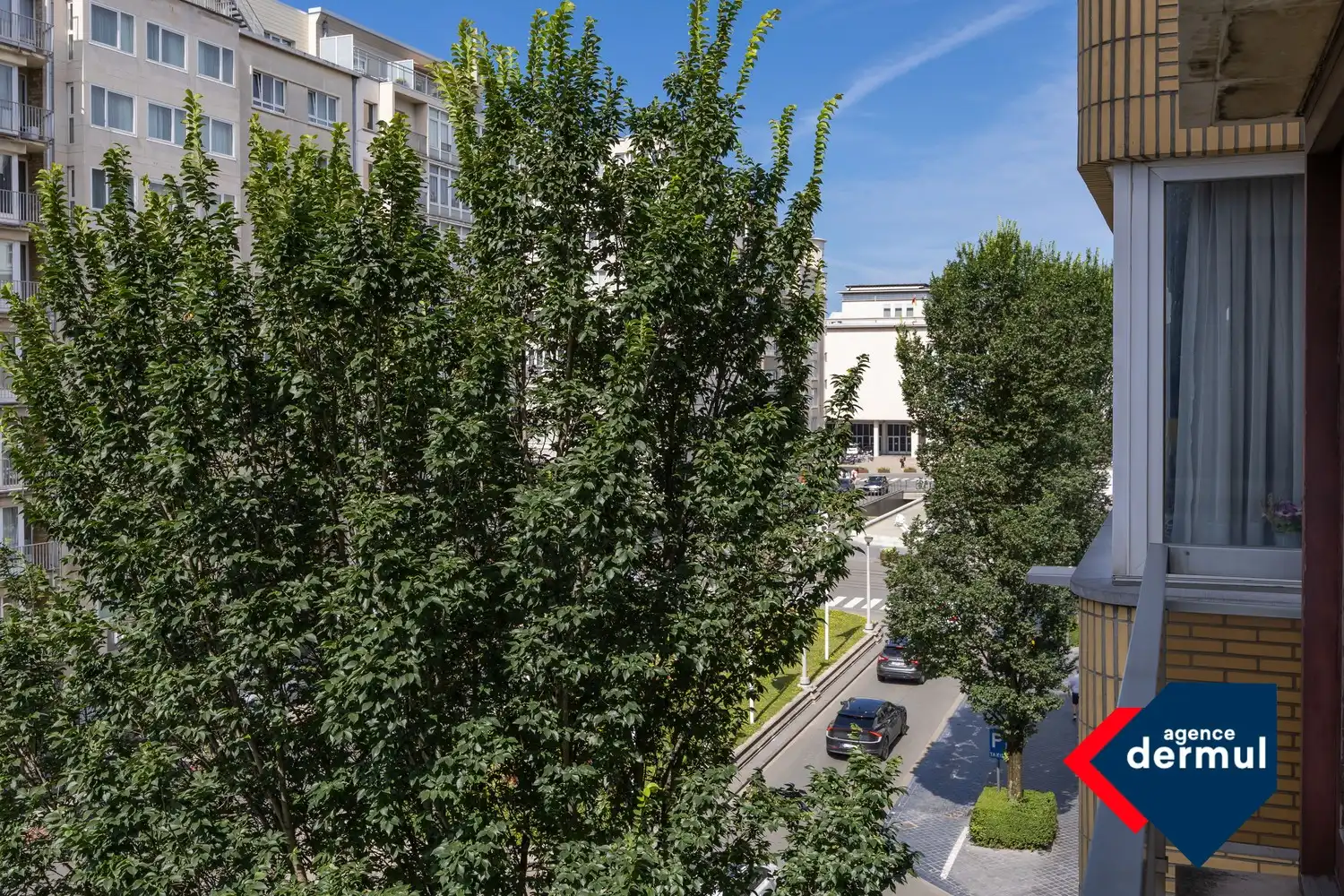 RESIDENTIE ZEEBRIES foto 24