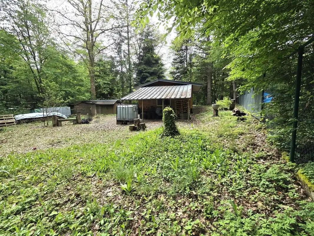 Chalet foto 19