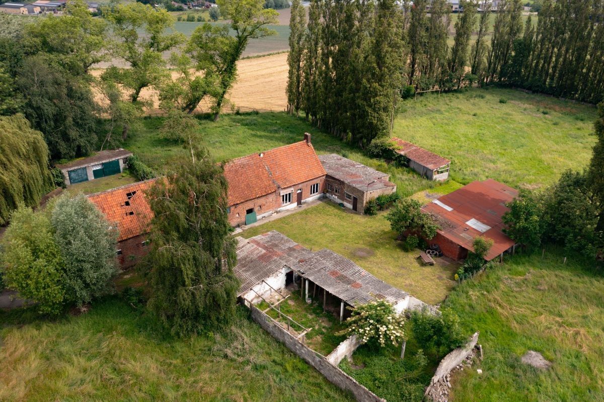 Afzonderlijk gelegen hoeve te koop op 3,66 ha te Zedelgem - Veldegem foto 16