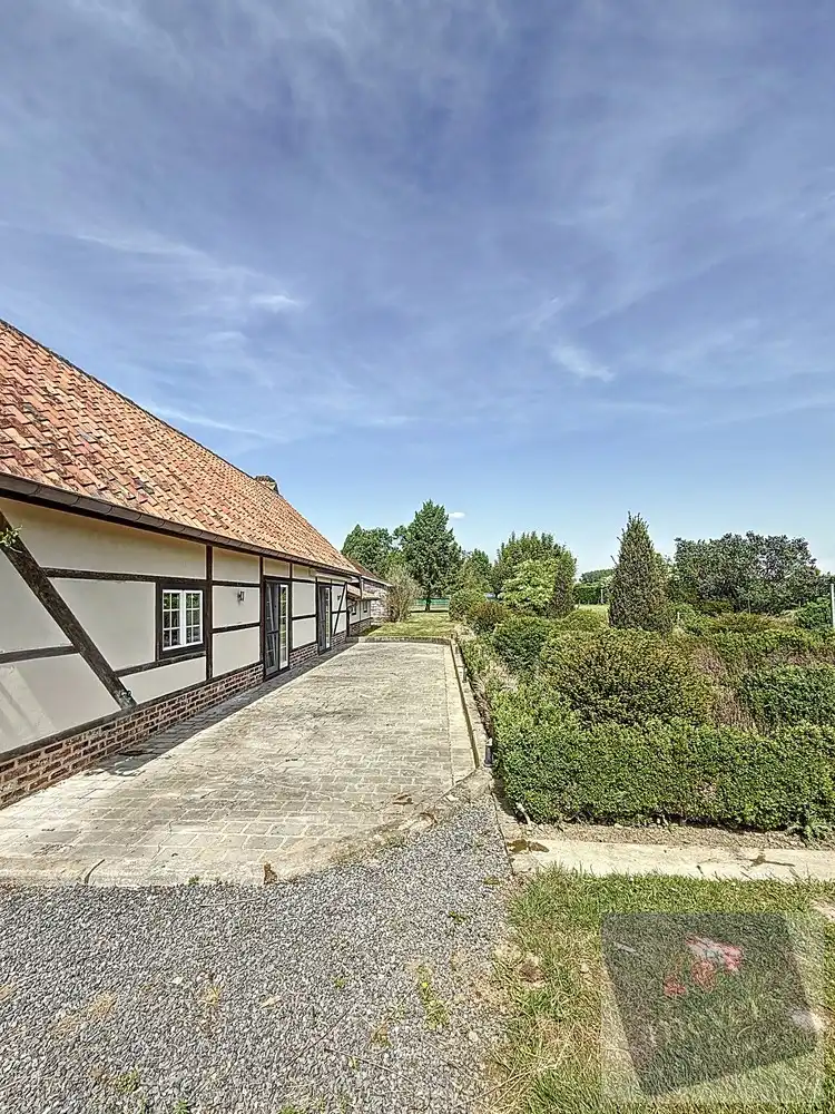 Hoeve met zwembad op 1,2 ha in Alken foto 24
