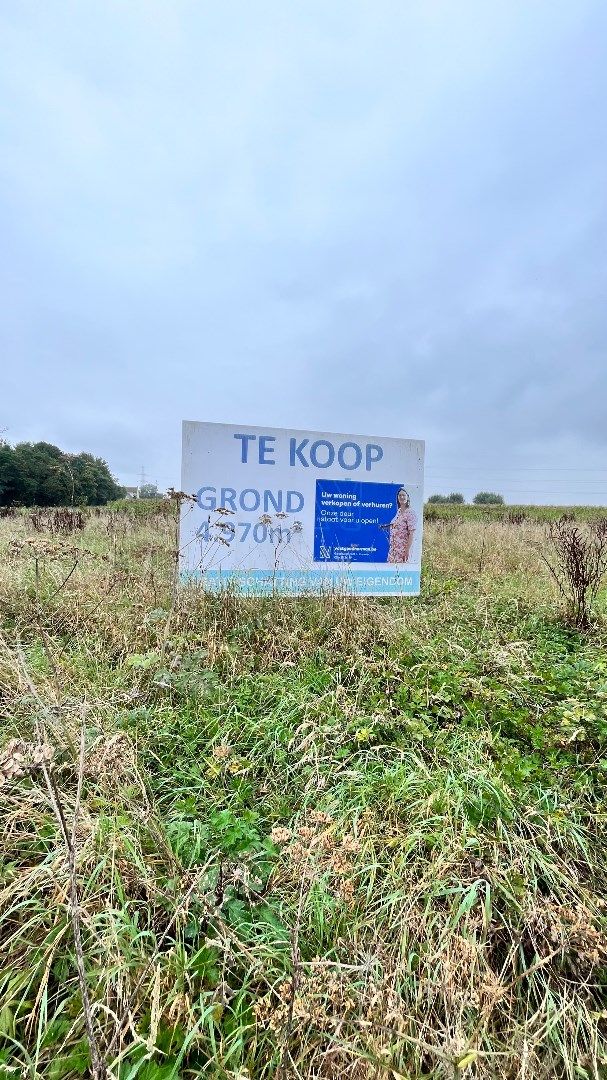 Groot stuk landbouwgrond van 4970 m² foto 4