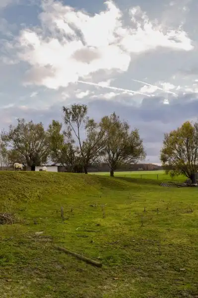 Daalstraat 140, 1850 Grimbergen foto 22