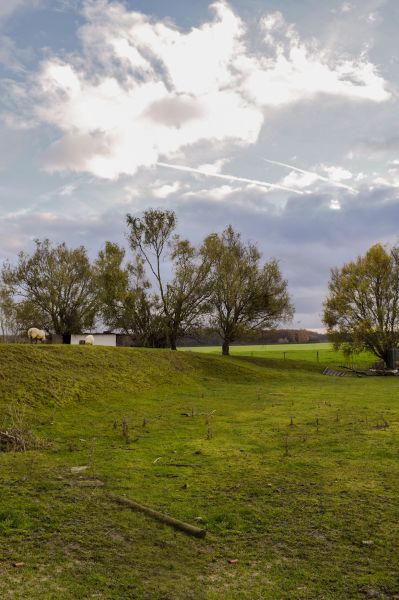 Daalstraat 140, 1850 Grimbergen foto 22