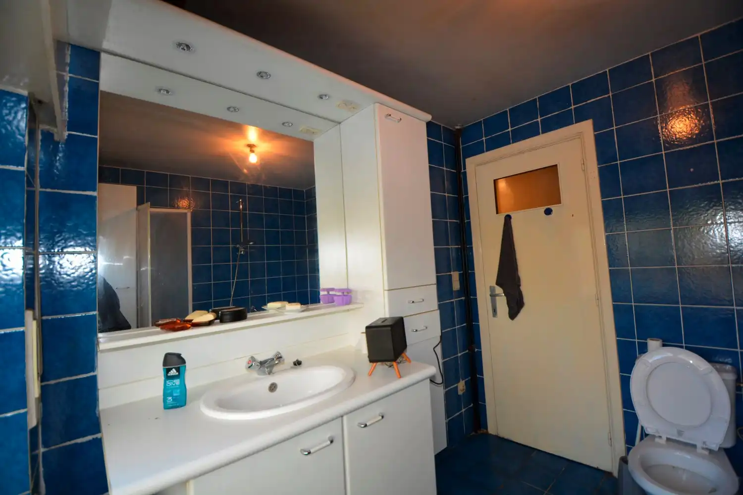 TE RENOVEREN LANDHUIS OP 14.000 m²! foto 18