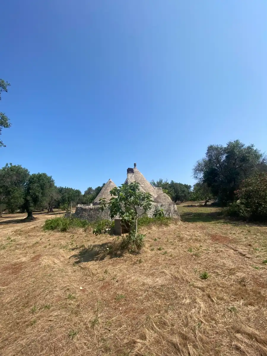 Twee fascinerende trulligroepen te koop in Puglia, Italia: An Italian Home away from Home foto 7