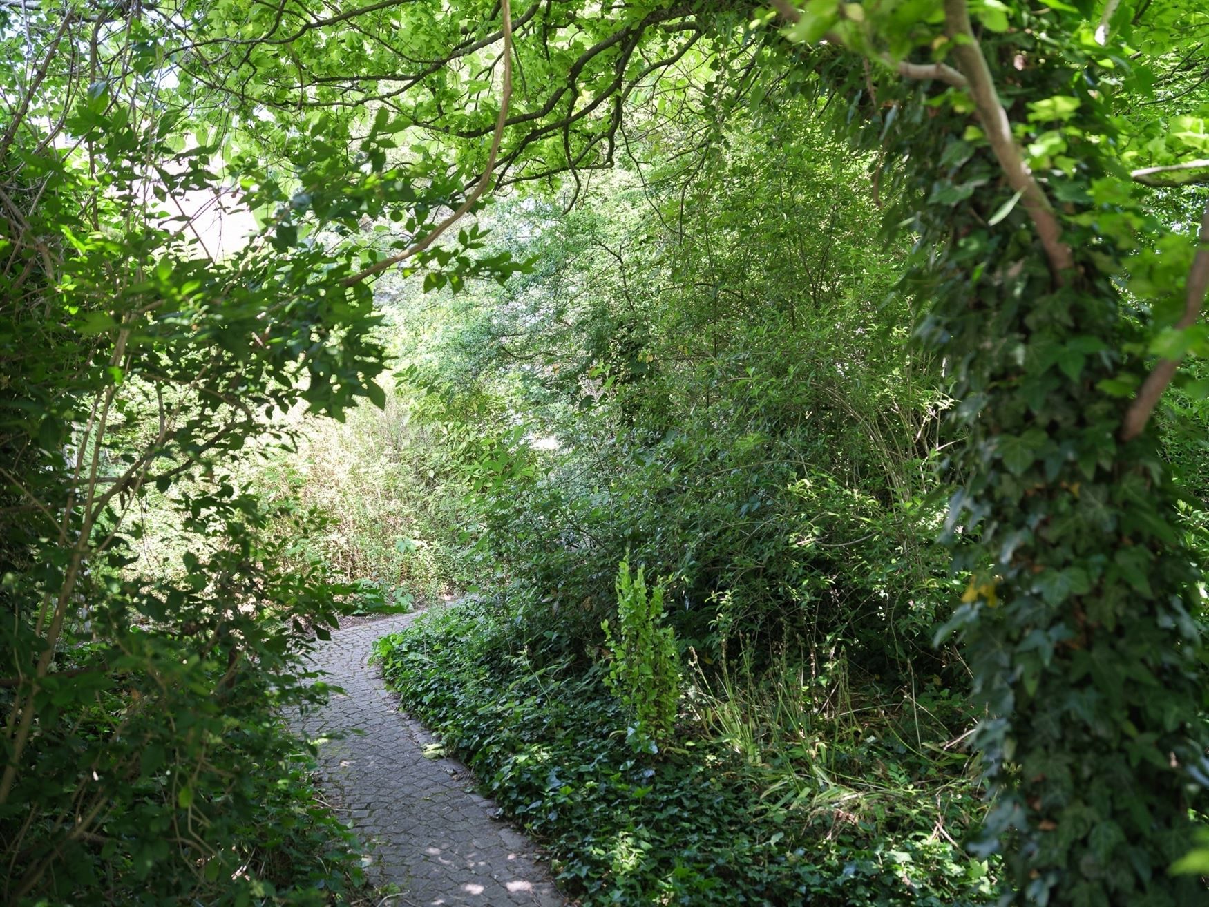 Majestueus hoekpand met mogelijkheden foto 9