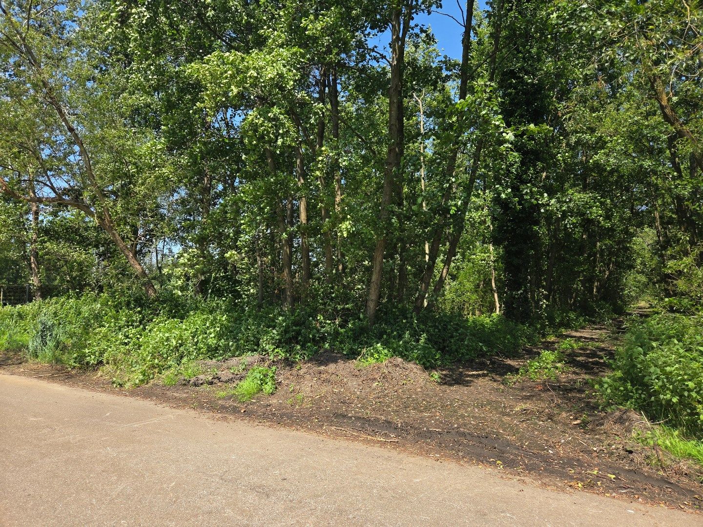 Perceel hooiland van 2.532 m² langs de Ring in Mol ! foto 6