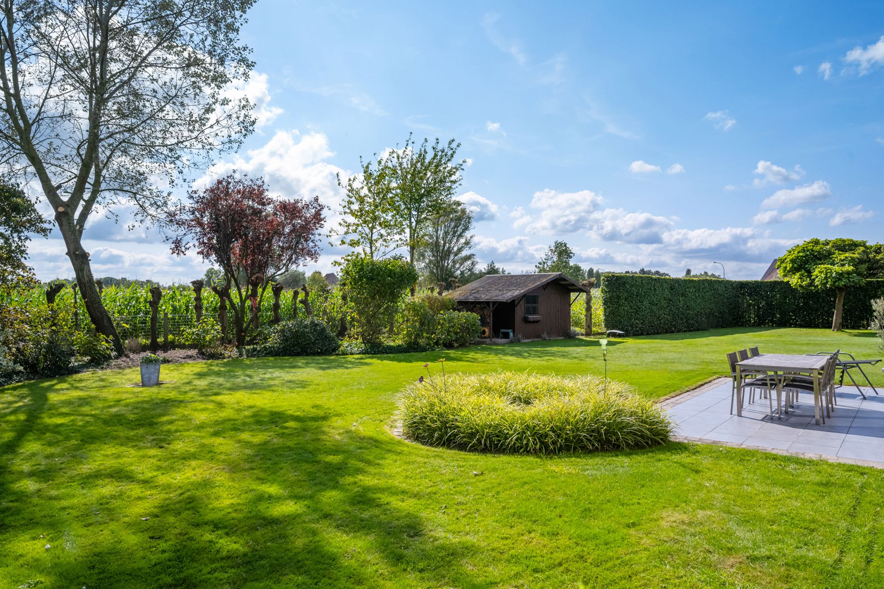 Ruime woning met OPTIE aankoop bouwgrond ernaast foto 16