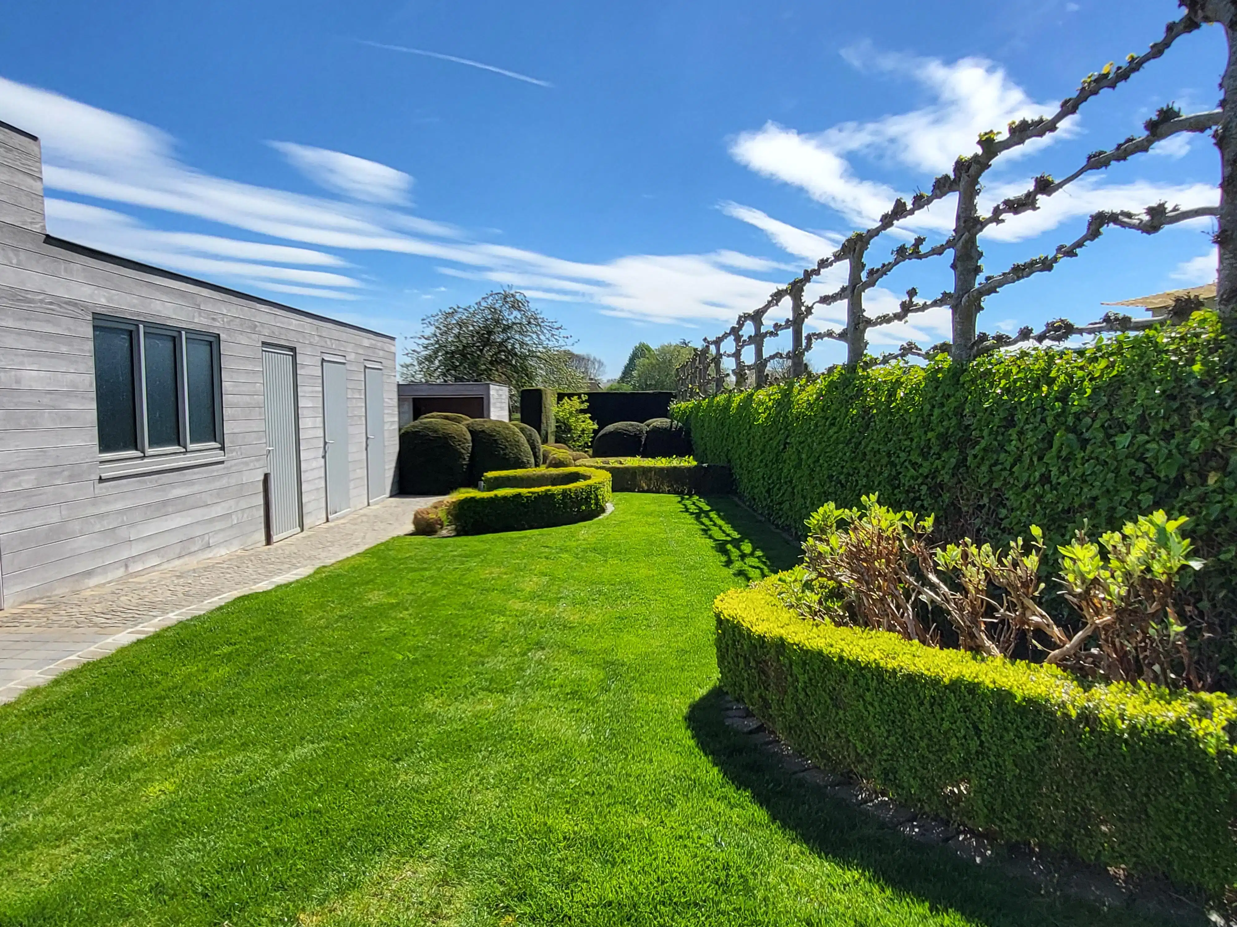 Deze ruime en uitstekend onderhouden villa-bungalow op een perceel van 1.264 m² combineert comfort, functionaliteit en een aangename woonbeleving met een zuidgericht terras en een prachtig aangelegde tuin met zwembad en badhuis.  foto 3