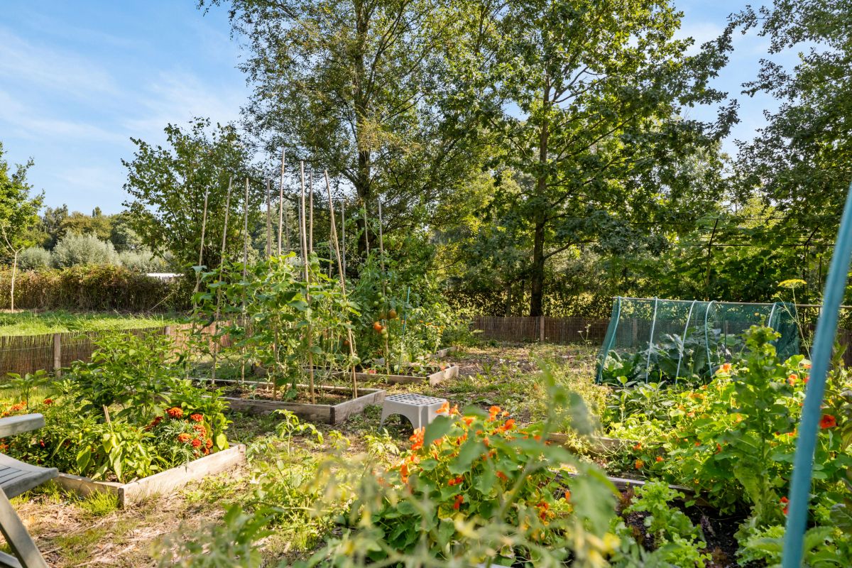 Exclusieve eigendom in “privaat park” te Asse foto 30