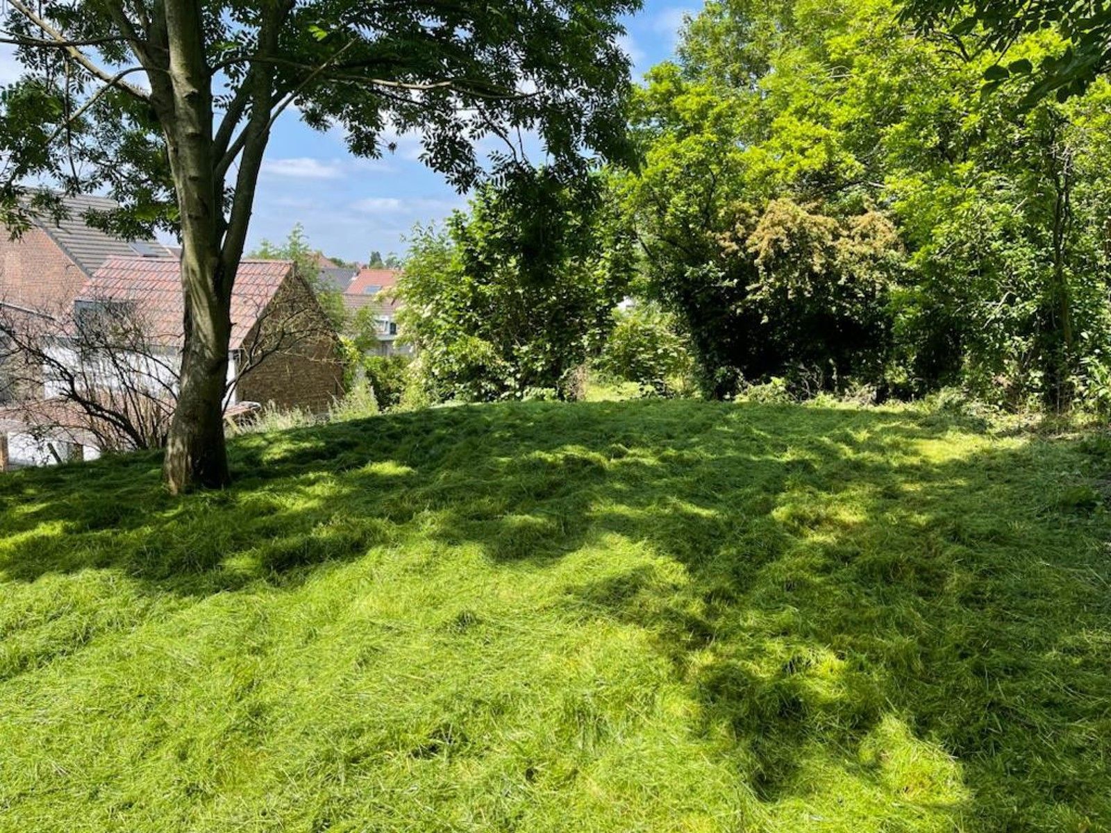 Rustig gelegen te renoveren en af te werken woning op 935m² foto 5
