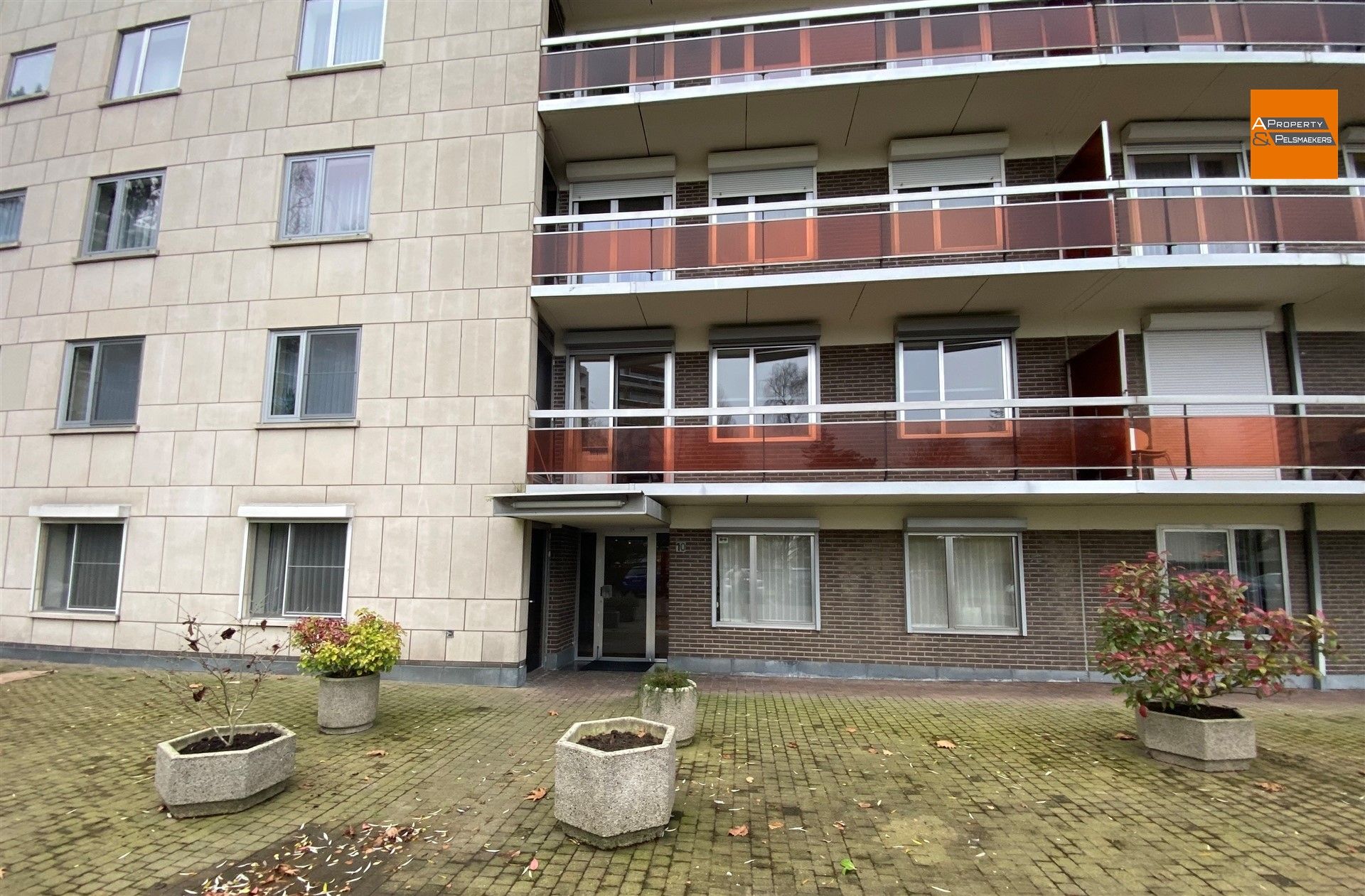 Appartement foto 3