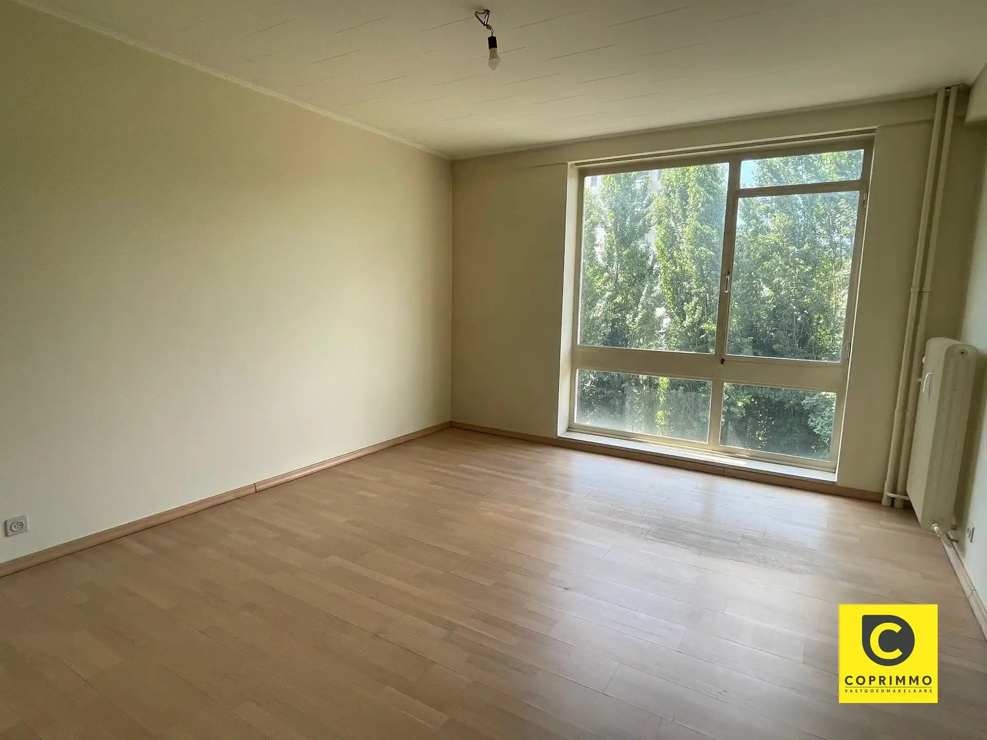 Gezellig 3-Slaapkamer appartement in Wilrijk foto 5