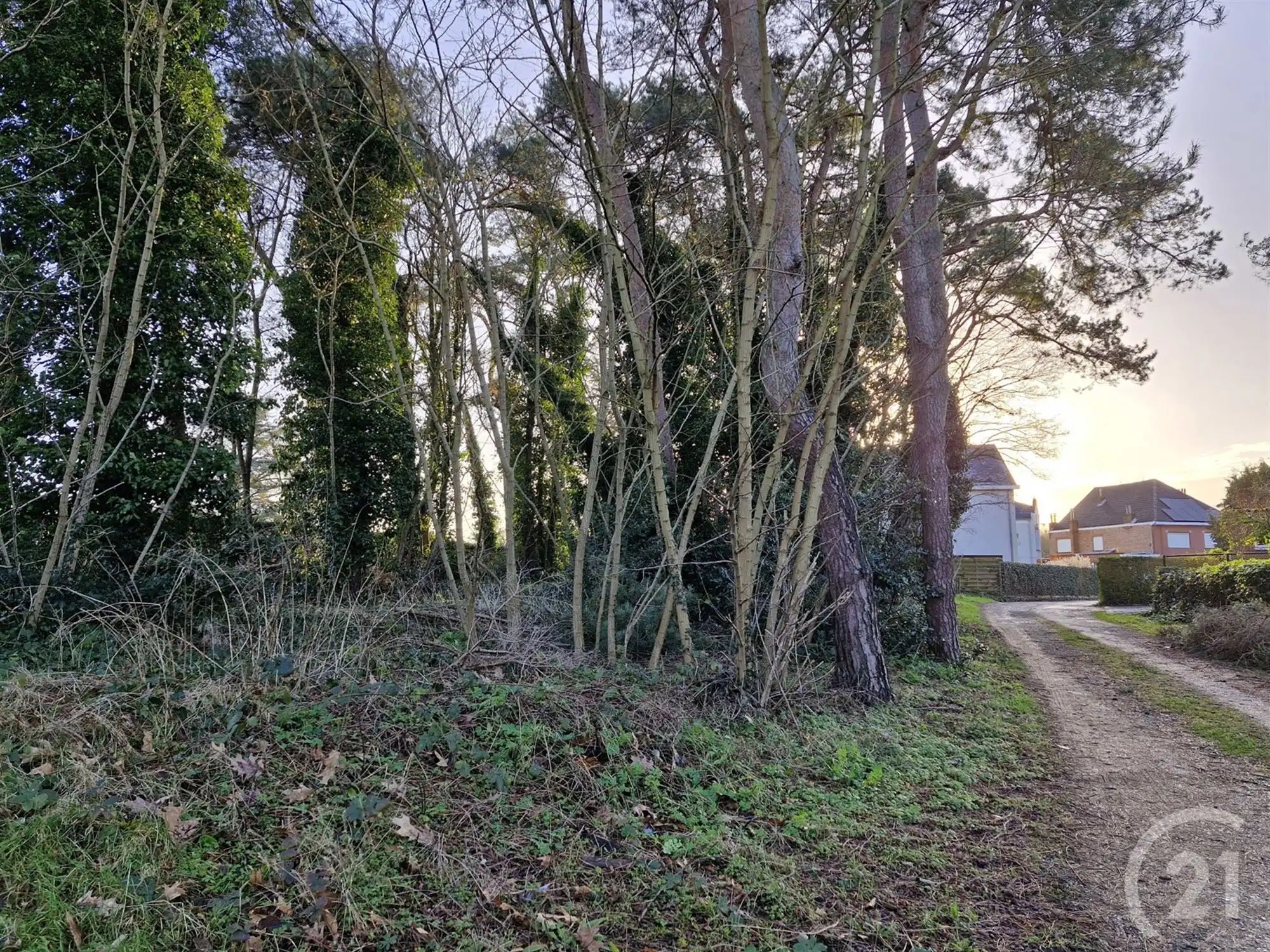 Bouwgrond te koop in Tremelo! foto 4