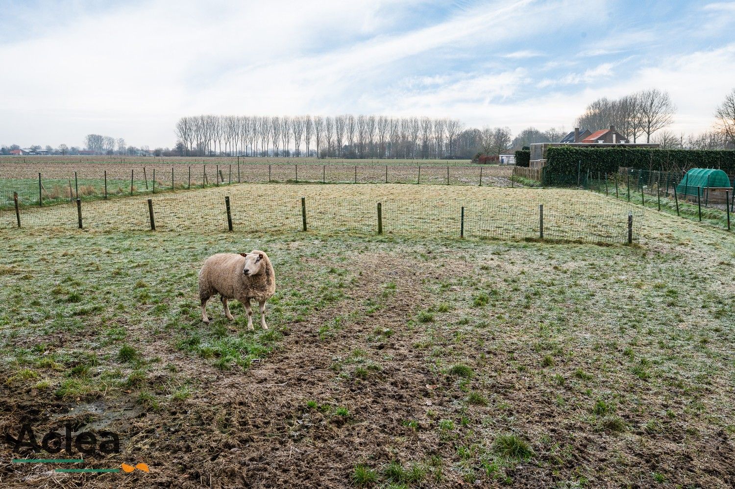 Rustig gelegen hoevetje met open zichten rondom foto 23